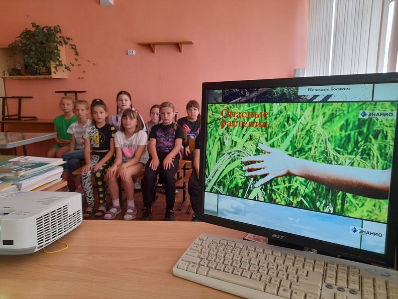 Правила ТБ в лесу и на природе.